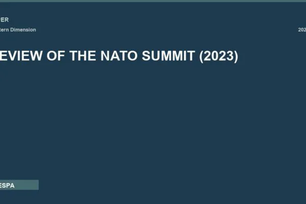 REVIEW OF THE NATO SUMMIT (2023)